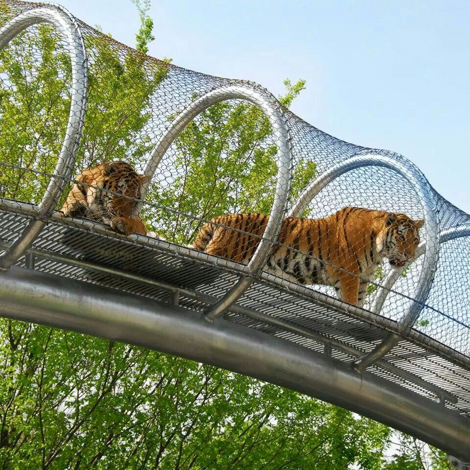 Zoo Enclosure Systems